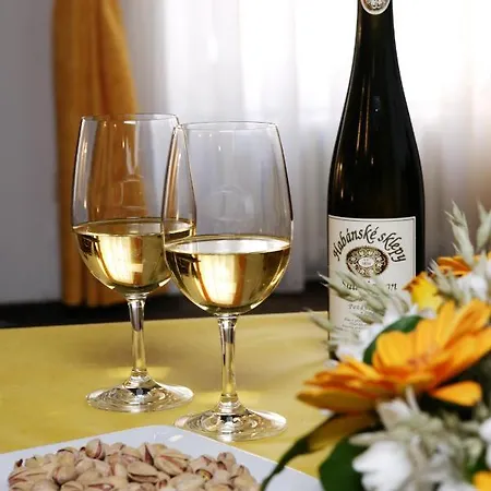 Maly Pivovar 4* Czeskie Budziejowice